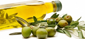 Terra Creta – kvalitní olivový olej